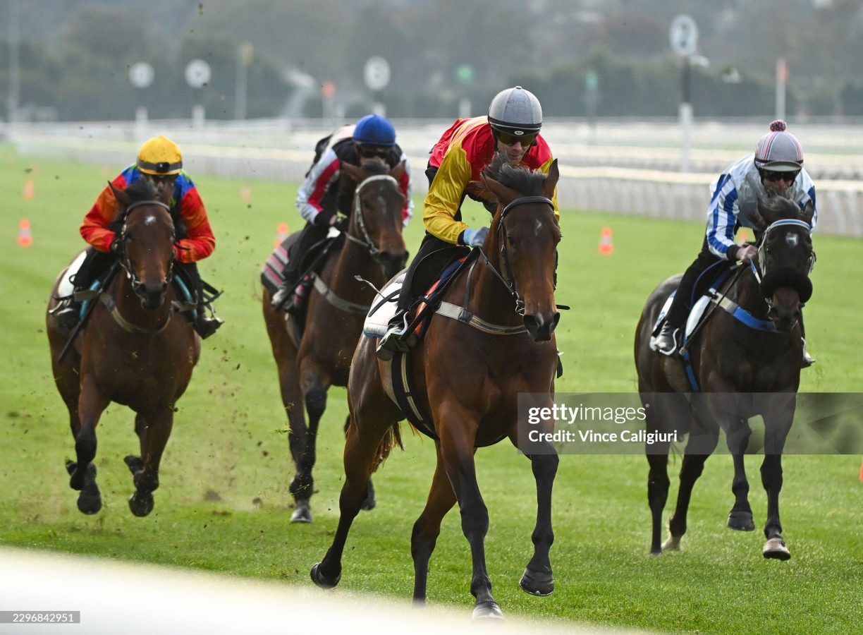 Cox Plate 2026 at Flemington