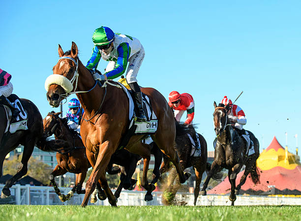 caulfield horse racing
