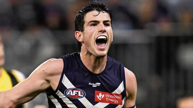 fremantle vs bulldogs prediction