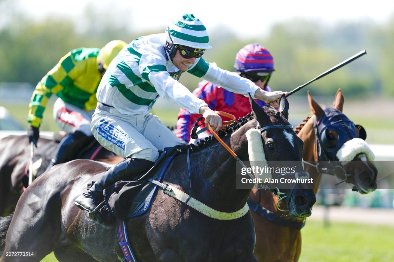 Warwick horse racing