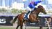 Mick’s Mail: Flemington 5/10/2024