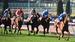 Racing Tips: Moonee Valley 23/08/2025