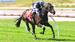 Mick’s Mail: Cranbourne 23/11/2024