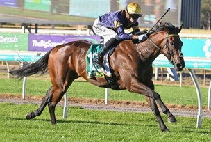 Bendigo Hawkesbury horse racing