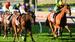 MICK’S MAIL: MOONEE VALLEY 27/9/2024