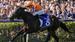Flemington Racing Preview & Tips by Nick Foot – July 20