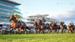 MELBOURNE CUP PREVIEW with Chris Scholtz