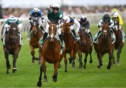 Champions Stakes 2025