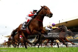 Weekend Tips Horse Racing