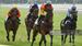 Cox Plate 2026 Tips and Race Guide