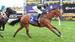 Mick’s Mail: Flemington 14/09/2024