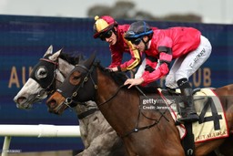 Rosehill horse racing