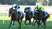 RANDWICK PREVIEW with Chris Scholtz – September 7