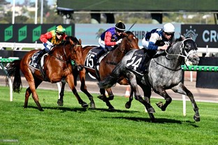 Flemington Racing