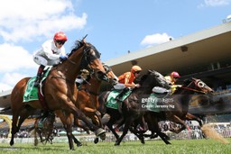 Jockeys and horses in a close finish during a race at Rosehill Gardens