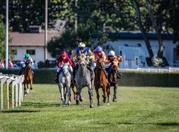 Cranbourne Racing