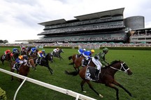 randwick racing Nick Foot