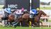 Mornington Preview: Saturday 20th April by Dean McHugh 