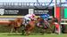 Morphettville Racing Tips July 27 by Nick Foot