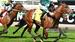 Derby Day 2026 Tips and Victoria Derby Race Guide