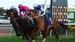 ROSEHILL PREVIEW with Chris Scholtz – August 31