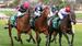 Caulfield Racing Preview by Nick Foot