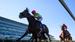 Flemington Racing Tips 5/07/2025