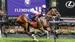 Flemington Preview: Saturday, May 18th by Dean McHugh 
