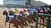International Horse Racing Preview: 18/12 – 24/12