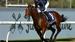 SYDNEY RACING PREVIEW with Chris Scholtz – Canterbury/Rosehill