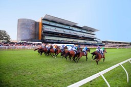 Royal Randwick Races