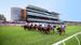 RACE TALK with Chris Scholtz