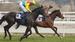 RACE DAY with Chris Scholtz – Warwick Farm December 6