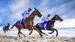 RACE TALK – MAGIC MILLIONS with Chris Scholtz
