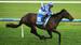 Mick’s Mail: Caulfield 10/05/2025