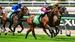 Racing Tips: Flemington 4/10/2025