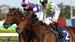 ROSEHILL PREVIEW with Chris Scholtz – September 28