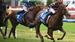 Mick’s Mail: Sandown 25/1/2025