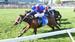 Racing Tips: Caulfield 18/10/2025