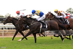 Midweek Horse Racing Tips