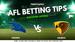 AFL FINALS TIPS: Adelaide v Hawthorn