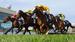 Caulfield Preview: 24th February by Dean McHugh