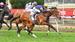 Racing Tips: Moonee Valley 25/10/2025