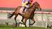 Mick’s Mail: Moonee Valley 27/09/2024
