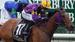 CANTERBURY PREVIEW with Chris Scholtz – August 7