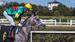 Tuesday 16th January: Cranbourne Preview by Dean McHugh