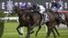 RACE TALK – Doncaster Mile Preview with Chris Scholtz
