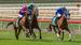 Mick’s Mail: Bendigo 12/04/2025