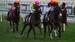 Micks Betting Tips – Flemington 21/06/2025