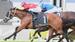 TRIAL STARS and BLACKBOOKERS – June 3-June 30